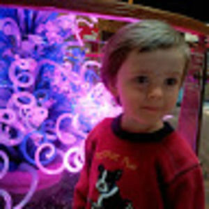 Meet your Posher, Ella